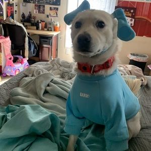 Meet your Posher, Marcus